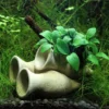Aquarienpflanzen-Sortiment für Nano-Aquarien 30-50 Liter