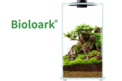 Bioloark Bio Bottle FD250 Wabi-Kusa / Biosphäre, Weißglas