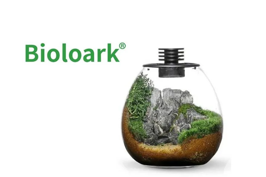 Bioloark Bio Bottle PD210 Wabi-Kusa / Biosphäre, Kugelvase