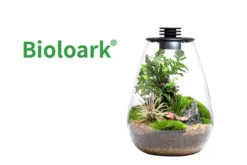 Bioloark Bio Bottle SD200 Wabi-Kusa / Biosphäre, Tropfenform