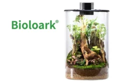 Bioloark Bio Bottle ZD200 Wabi-Kusa / Biosphäre, Zylinderform