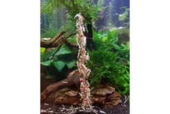 Ceramic Nature Shrimp Stick Astaxanthin Lolly 10 Stk.