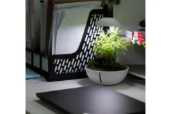 Chihiros Tiny Terrarium Egg (Set)