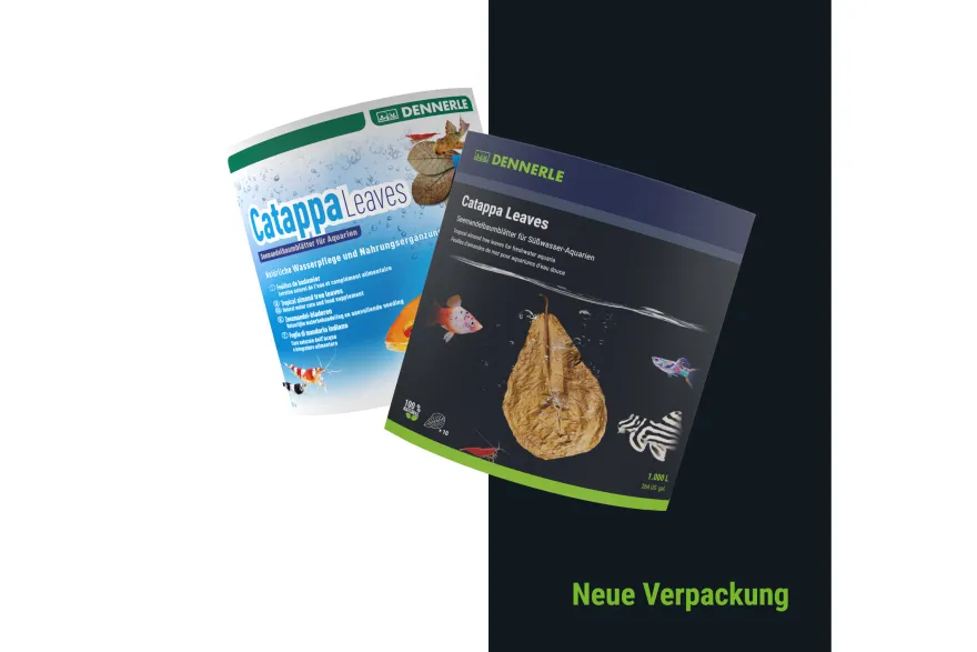 Dennerle Catappa Leaves, Seemandelbaumblätter, 10 Stück