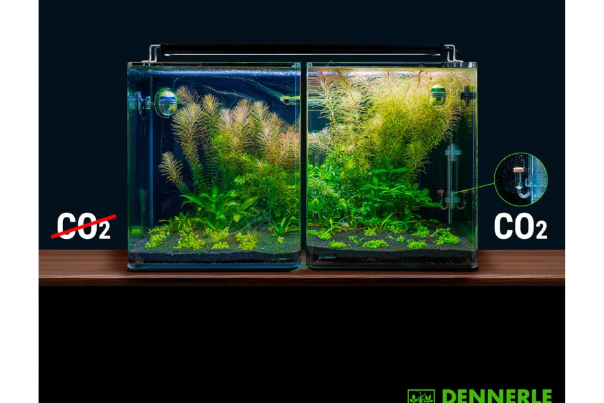 Dennerle CO² -Set Mehrweg 300 Space / Carbo NIGHT M400 (Auslaufartikel)
