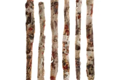Dennerle Nano Catappa Bark, 8 St.
