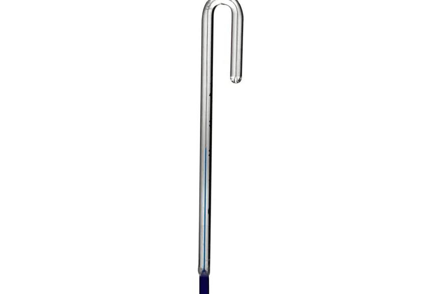 Dennerle Nano HangOn Thermometer (Auslaufartikel)