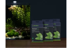 Dennerle Plant System E15, mit 40 Stück