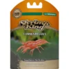 Dennerle Shrimp King Cambarellus, 45 g