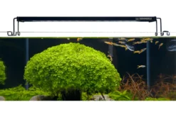 Dennerle Trocal Flat 40, LED-Aufsatzleuchte, 40-45 cm (Auslaufartikel)