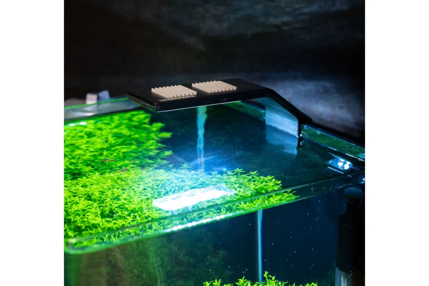 Dennerle Trocal Style Two (6 W), LED-Aquarienleuchte (Auslaufartikel)