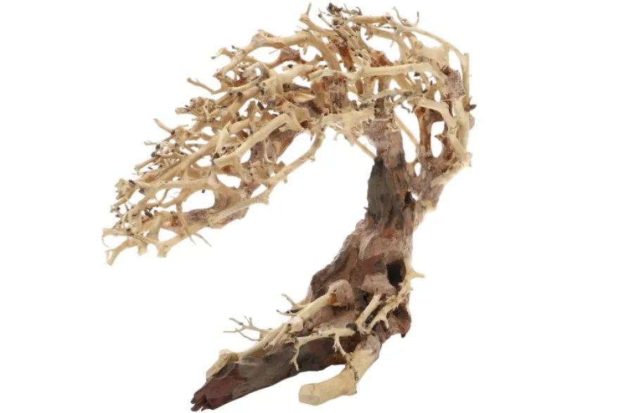 Dupla Crooked Root M, Handgemachte Aquariendeko
