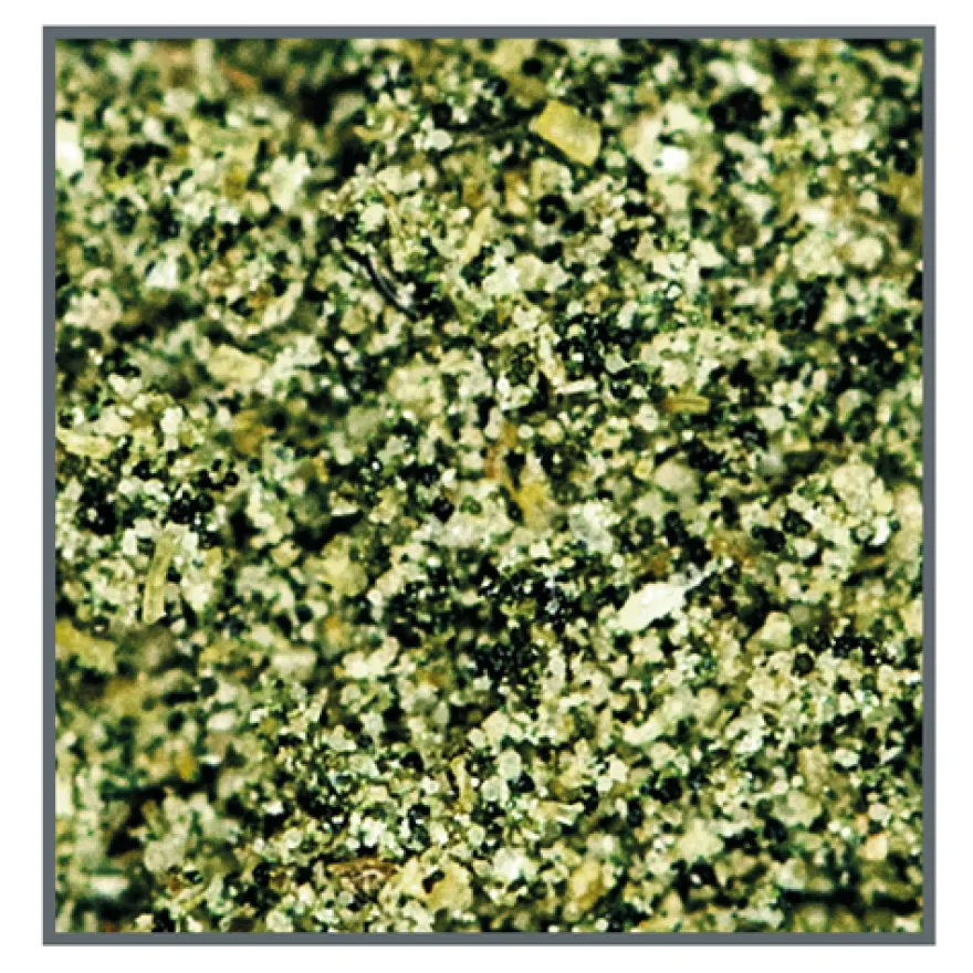 Dupla Marin Coral Food Phyto, 180 ml/85 g