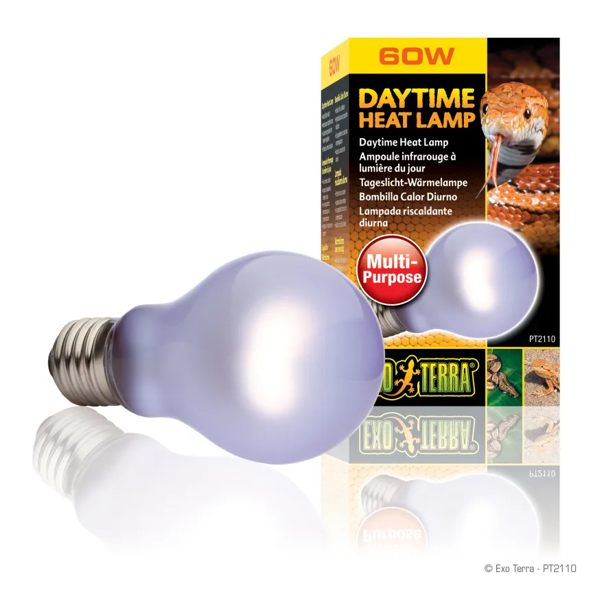Exo Terra Day Glo SG A19/60 W