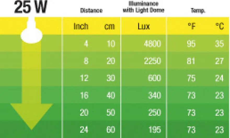 Exo Terra Daylight Basking Spot 25 W