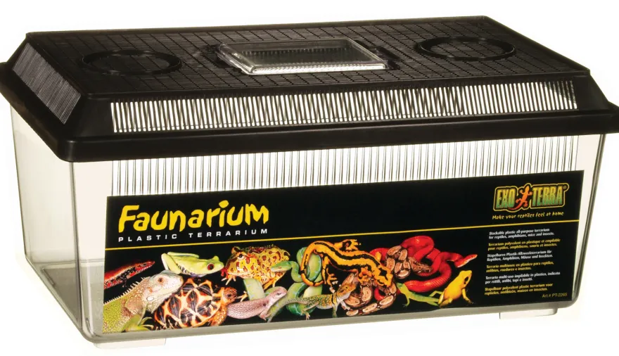 Exo Terra Faunarium groß