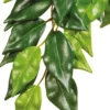 Exo Terra Fikus klein