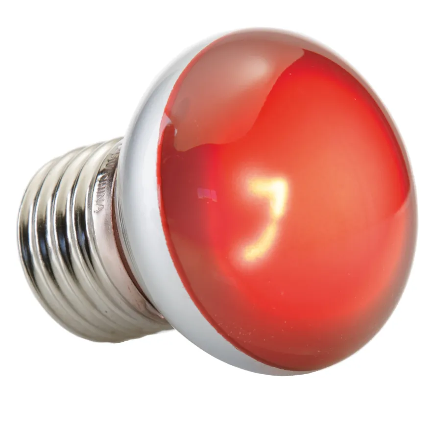 Exo Terra Infrared Basking Spot NANO 25W.