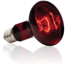 Exo Terra Infrarot-Spotlampe Heat GL R25/100 W