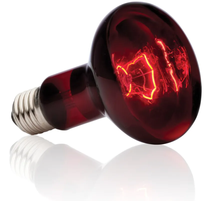 Exo Terra Infrarot-Spotlampe Heat GL R25/100 W