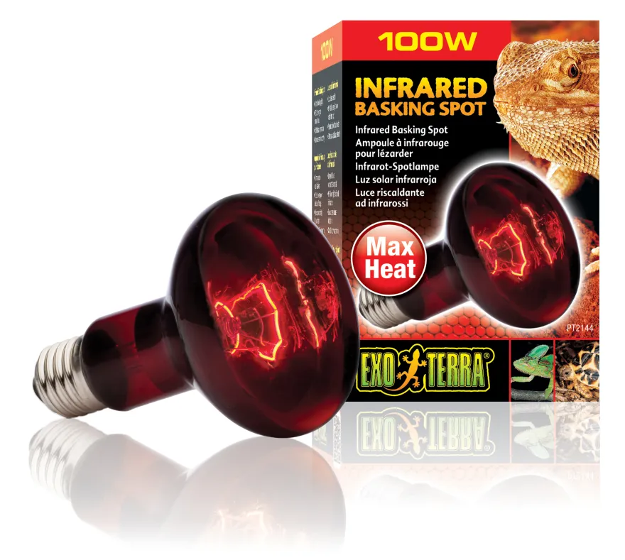 Exo Terra Infrarot-Spotlampe Heat GL R25/100 W