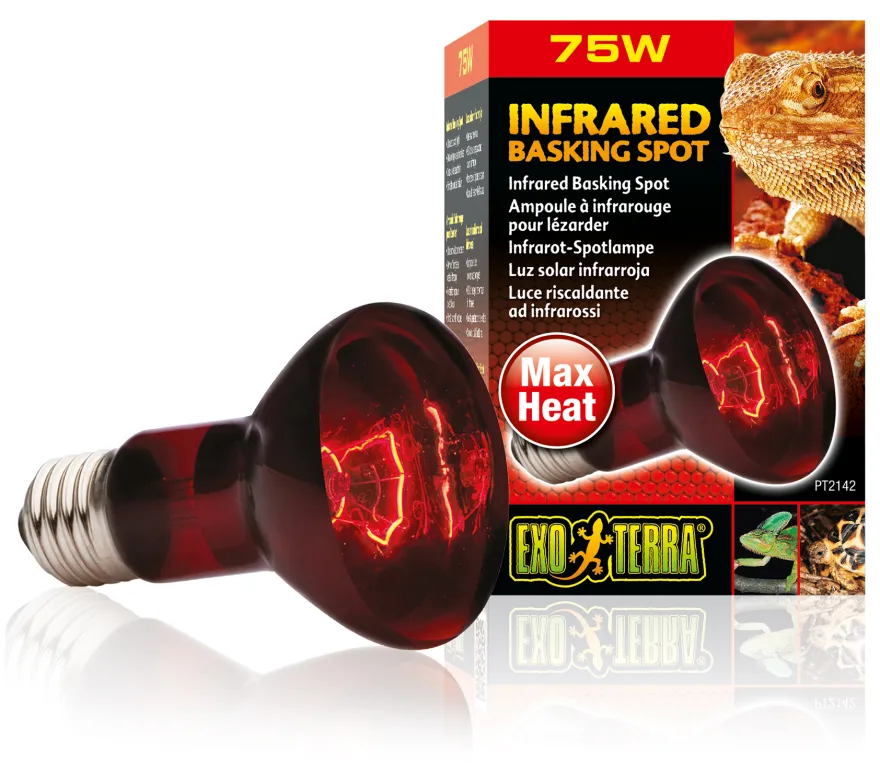 Exo Terra Infrarot-Spotlampe Heat GL R20/50 W