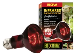 Exo Terra Infrarot-Spotlampe Heat GL R20/50 W