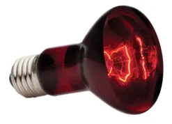 Exo Terra Infrarot-Spotlampe Heat GL R20/50 W