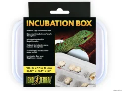 Exo Terra Inkubations-Box