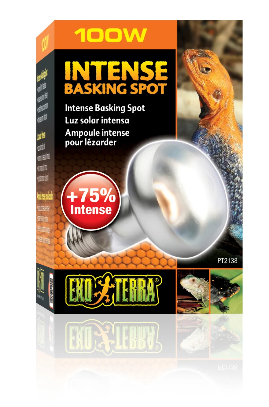 Exo Terra Intense Basking Spot R25/100W
