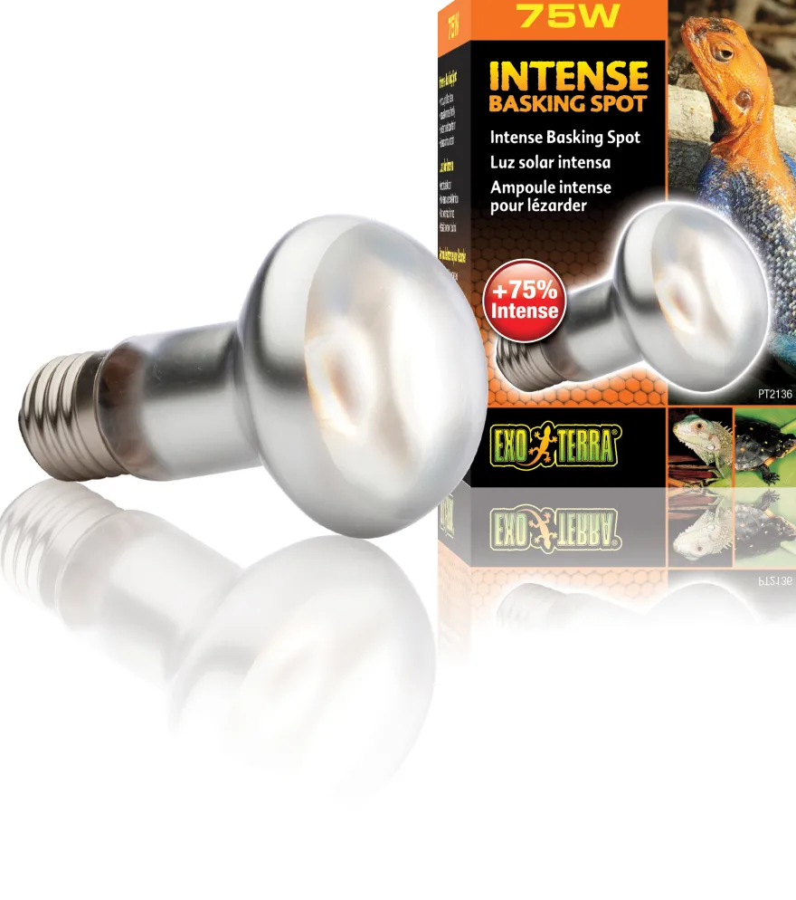 Exo Terra Intense Basking Spot R20/75W