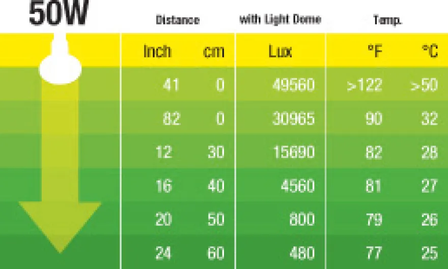 Exo Terra Intense Basking Spot R20/50W
