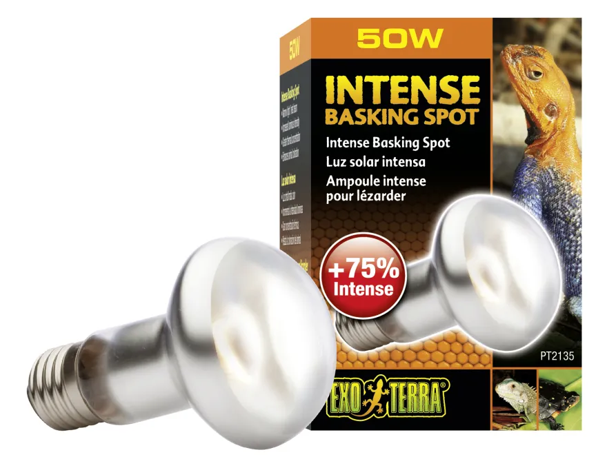 Exo Terra Intense Basking Spot R20/50W