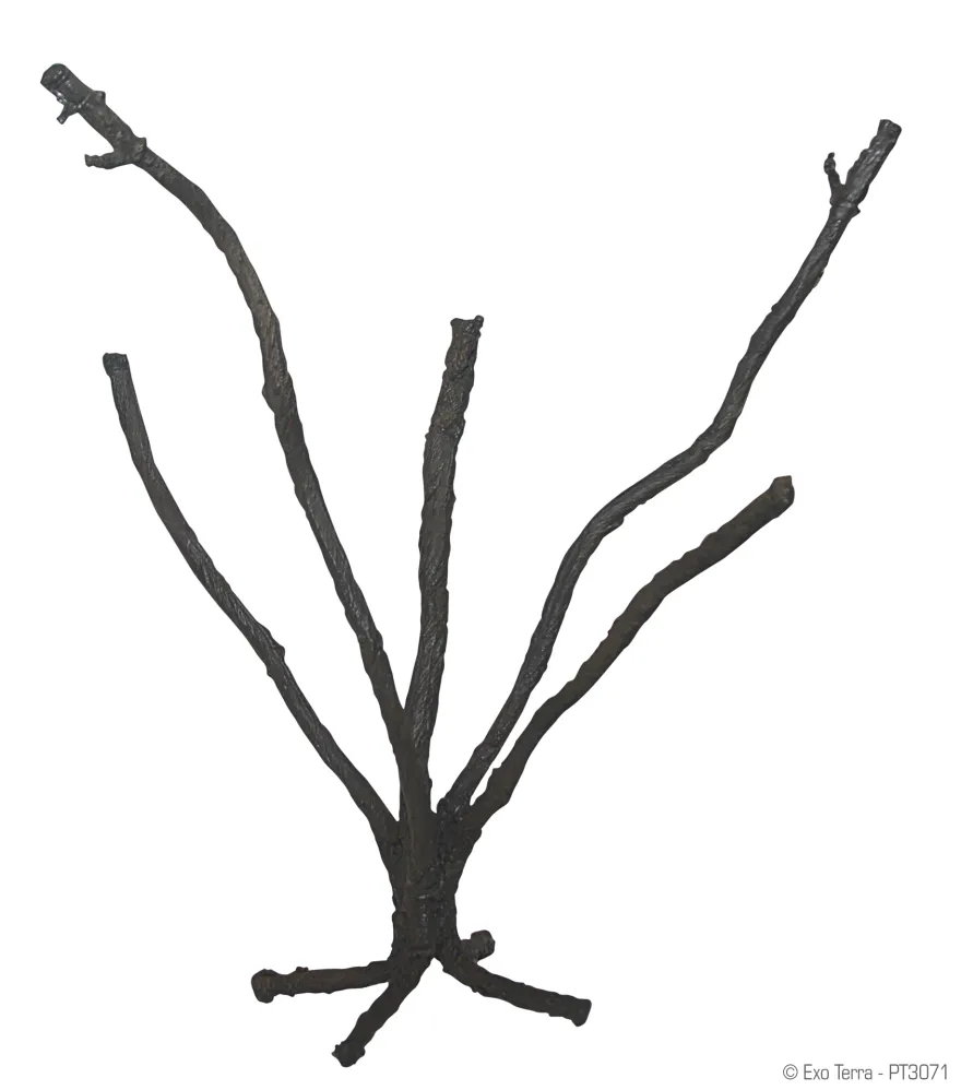 Exo Terra Jungle Tree groß