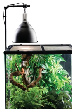 Exo Terra Lichtklammer