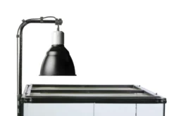Exo Terra Light Dome UV-Reflektorlampe klein