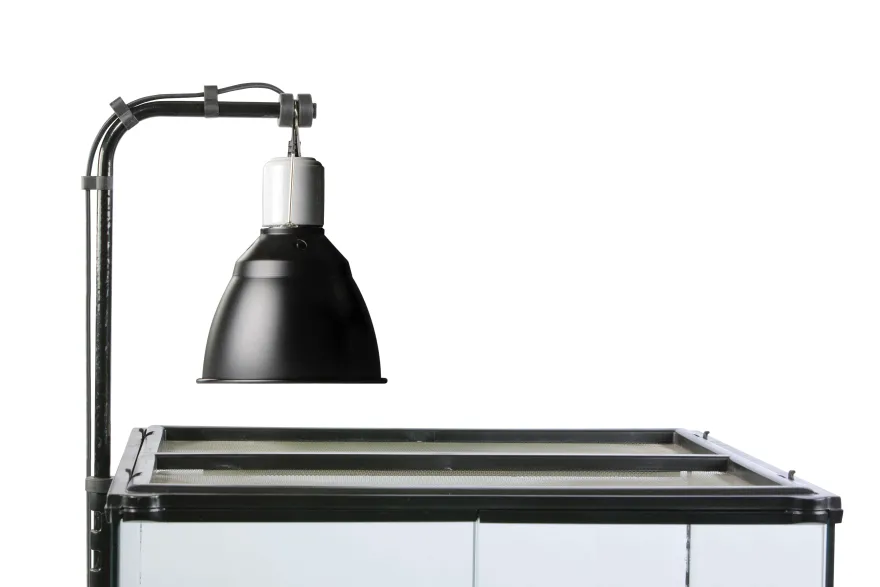 Exo Terra Light Dome UV-Reflektorlampe klein