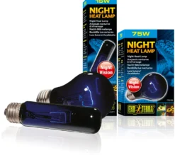 Exo Terra Night Glo NG A19/75 W