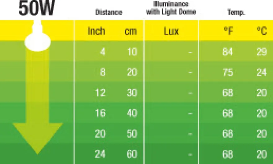 Exo Terra Night Glo NG A19/50 W