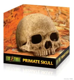 Exo Terra Primatenschädel 17x13,5x11,5 cm