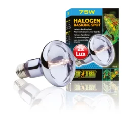 Exo Terra Sun Glo Halogen 75 W