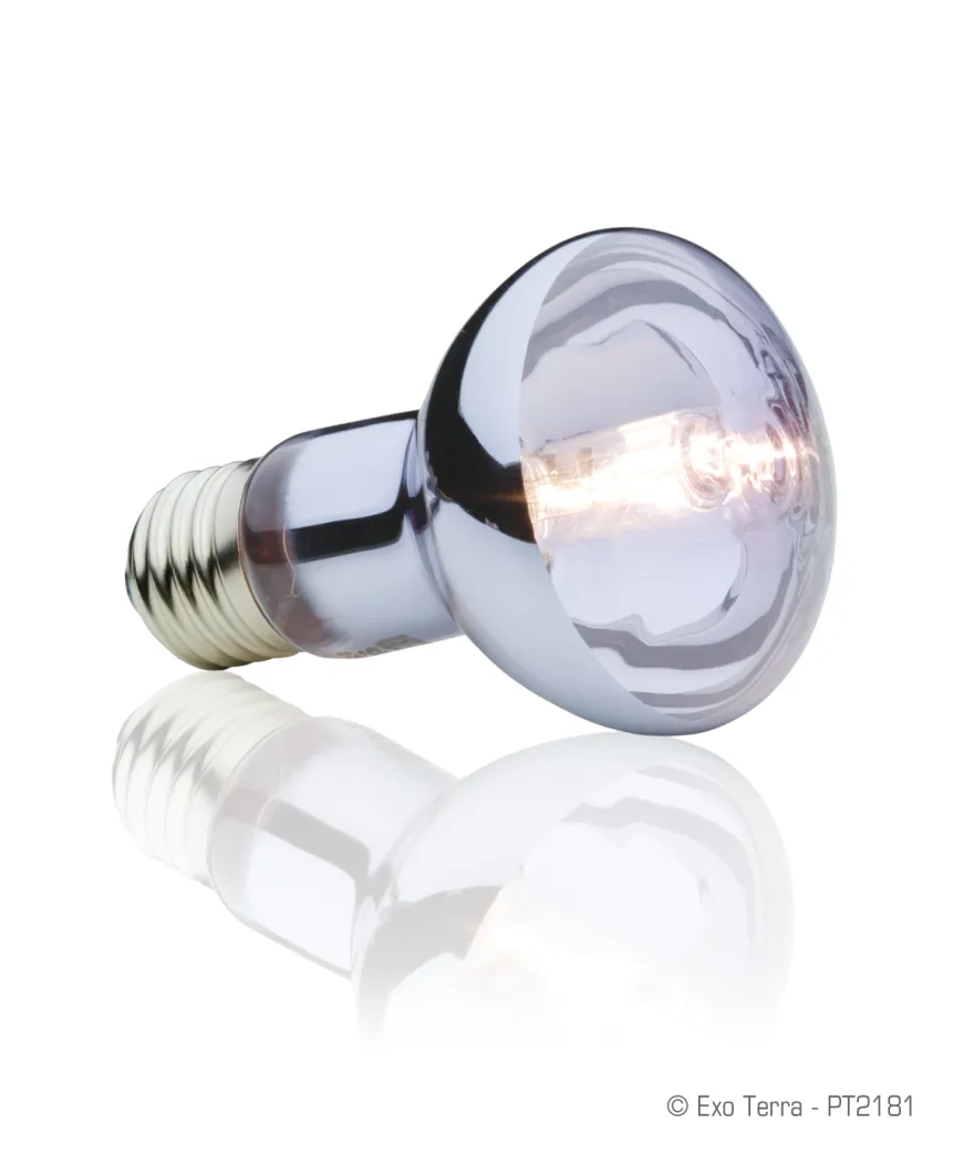 Exo Terra Sun Glo Halogen 50 W