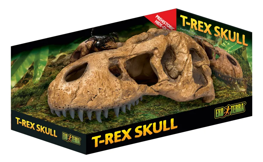 Exo Terra T-Rex Schädel