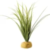 Exo Terra Turtle Grass