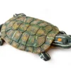 Exo Terra Turtle Turtle Island