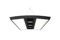Giesemann AURORA V12 pro Marine, 900 mm 2 LED Cluster, iridium