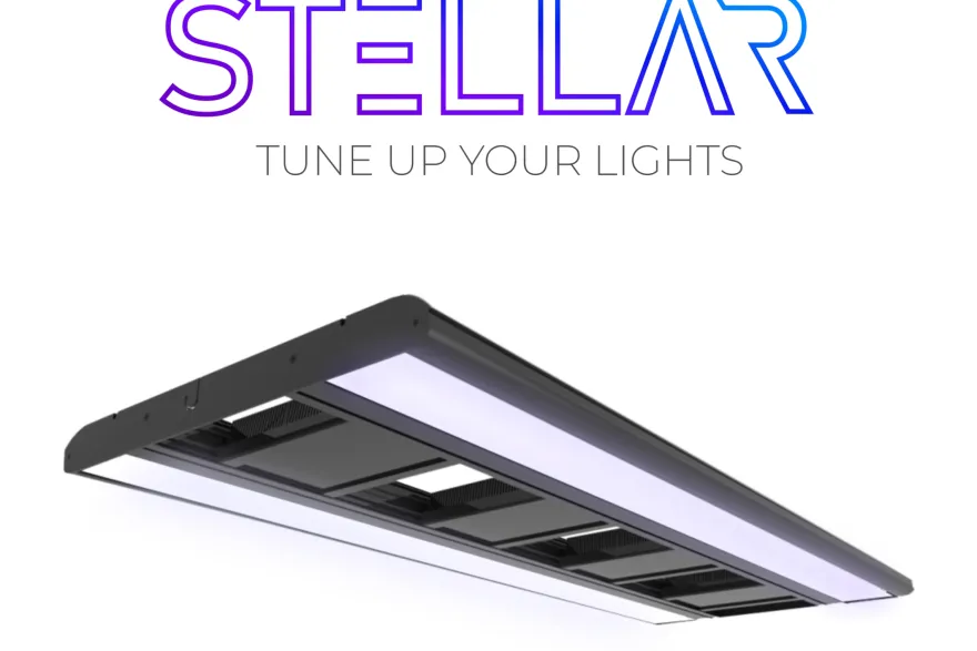 Giesemann STELLAR LED Tropic, 600 mm - 2 x 40 W, weiß