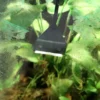 Hobby Algae-Scraper