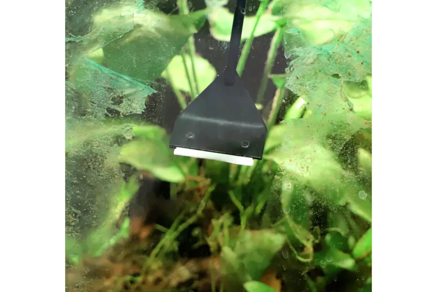 Hobby Algae-Scraper