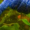 Hobby Algo Wipe, Aquarien-Pflegehandschuh